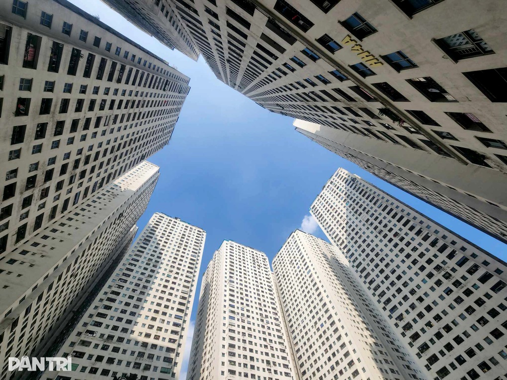 Chính thức không nguyên tắc thời hạn mua nhà bình thường cư