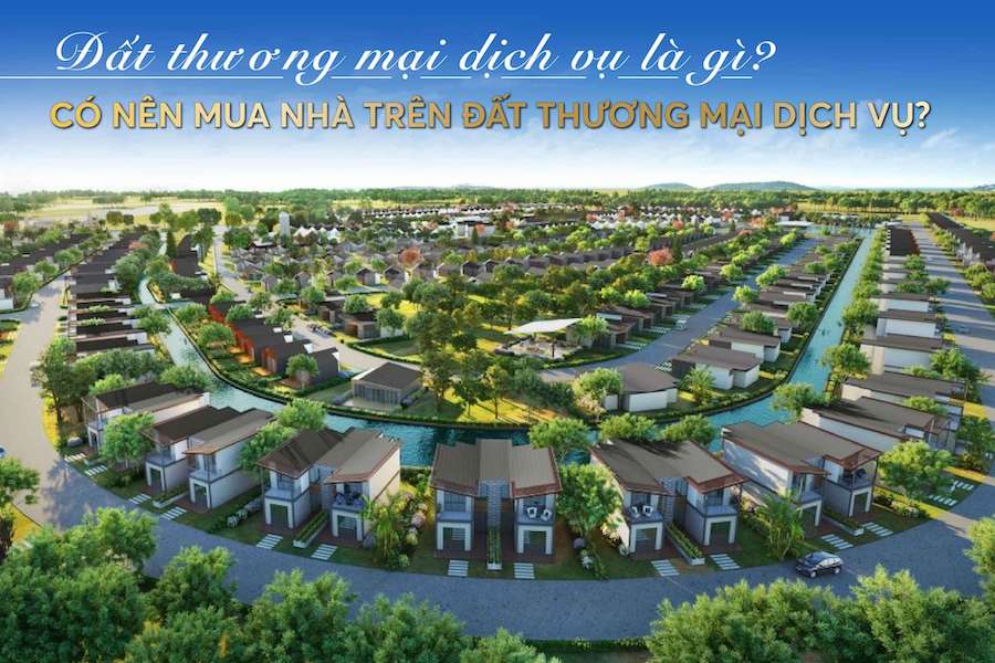 Đất thương mại dịch vụ là gì Đất dịch vụ thương mại dịch vụ là gì