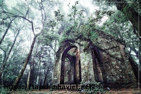 Top địa điểm du kế hoạch rẻ sát hà nội giành cho sinh viên Top địa điểm du định kỳ rẻ sát hà nội giành riêng cho sinh viên