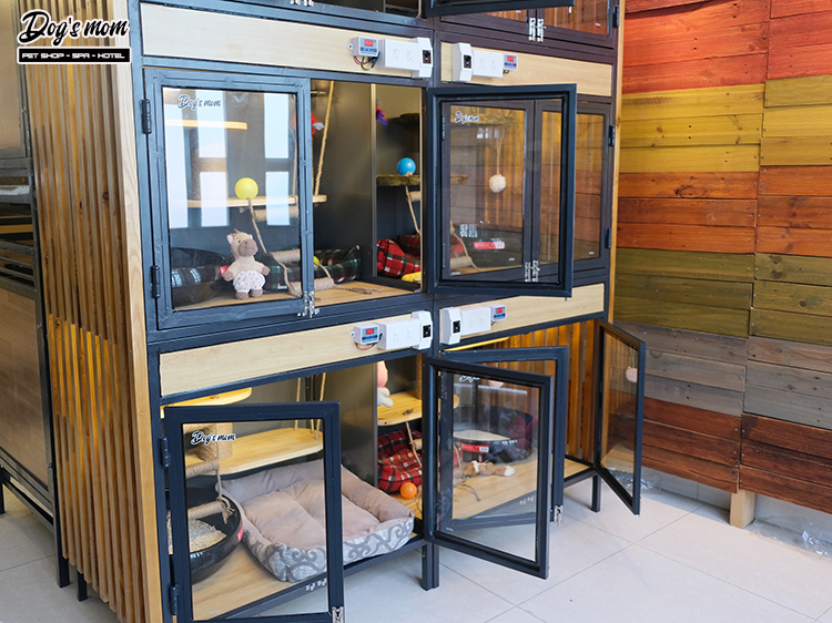 Khách sạn cho chó mèo tại tphcm, hướng dẫn lựa chọn dịch vụ chăm sóc thú cưng uy tín