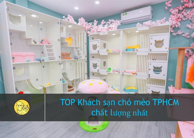 Khách sạn chó mèo quận 12: lựa chọn uy tín cho thú cưng của bạn