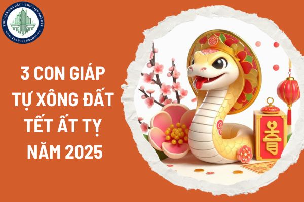 Con cạnh bên tự xông đất tết Ất tỵ năm giúp gia nhà phát tài Con giáp tự xông đất tết Ất tỵ năm giúp gia nhà phát tài